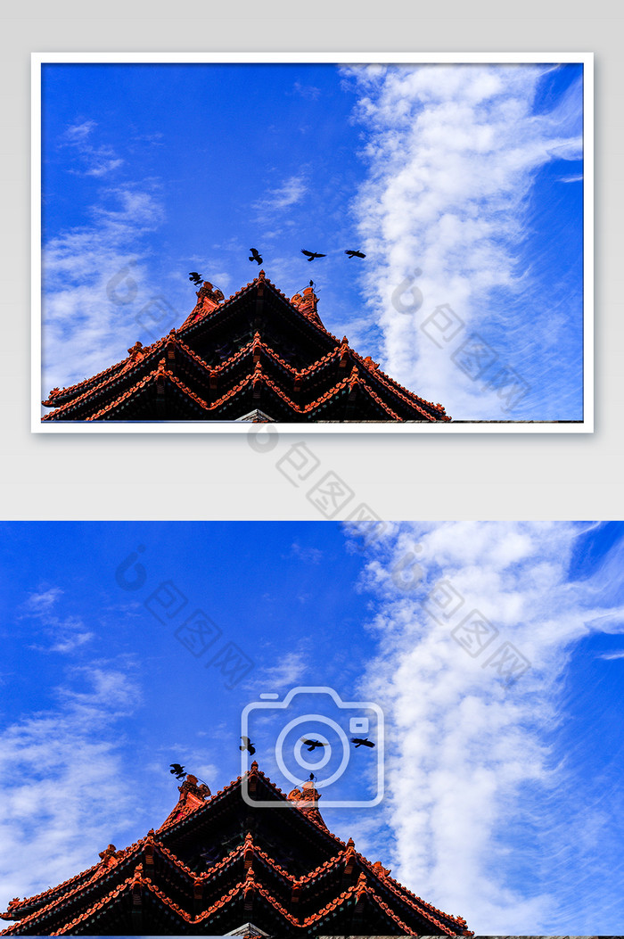 北京天安门故宫紫禁城角楼飞鸟摄影图片图片