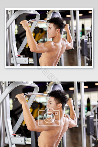健身房运动跑步减肥增肌男生拉力器背部肌肉图片