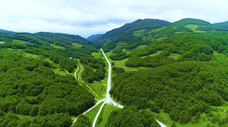航拍绿色森林下的漂亮公路
