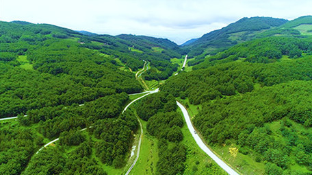 航拍绿色森林下的漂亮公路