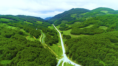 航拍绿色森林下的漂亮公路