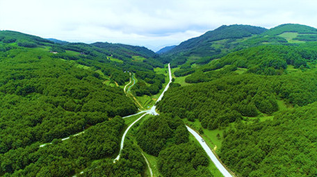 航拍绿色森林下的漂亮公路