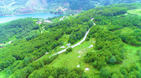 航拍绿绿葱葱的森林