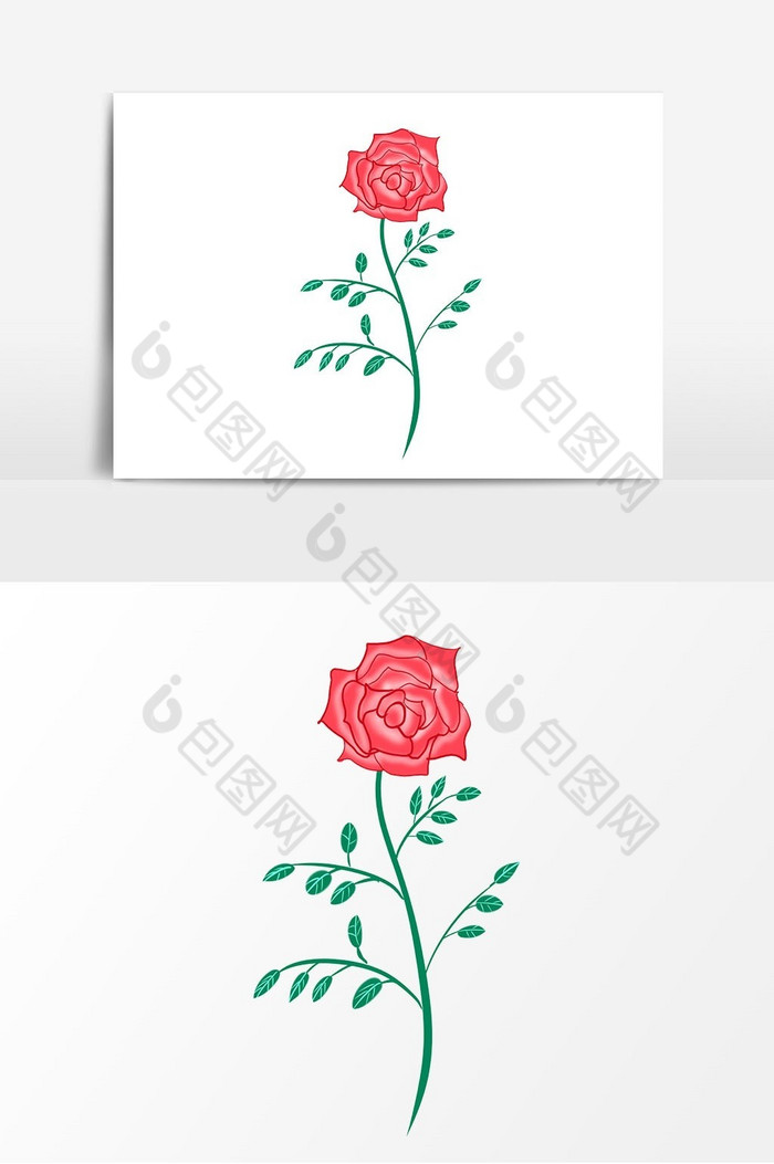 玫瑰花朵图片图片