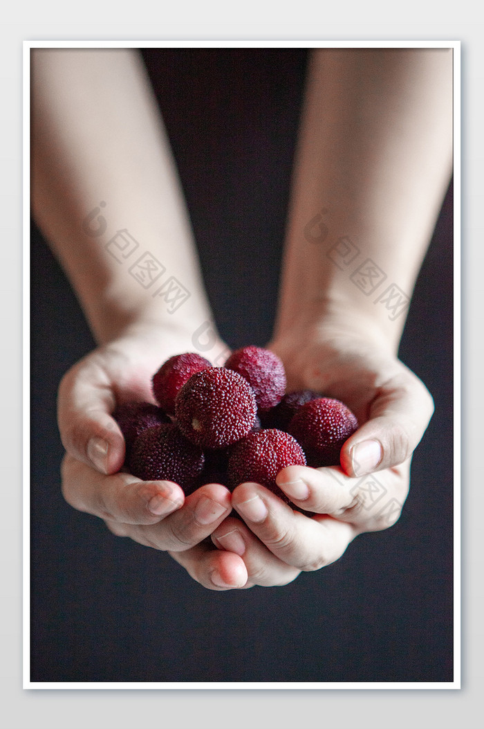 手拿水果美食黑炭杨梅营养摆拍手部摄影图图片图片