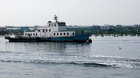 清晨海洋养殖区的舢板和巡游艇