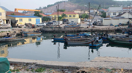 海洋休渔期停靠在渔港码头的渔船