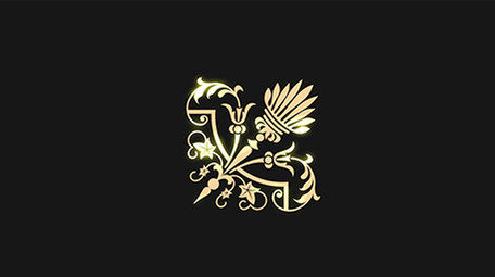 27组带通道花纹花边扫光装饰元素