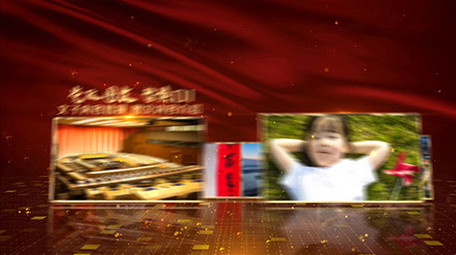 震撼大气党政图文展示