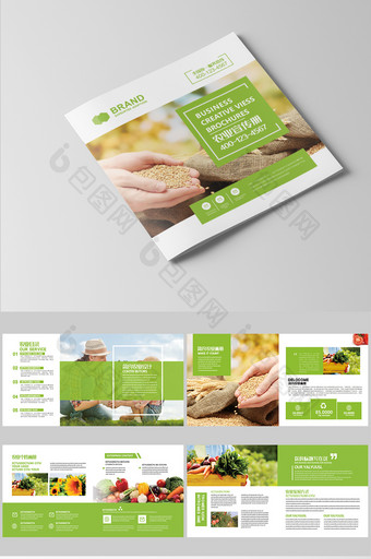 绿色大气食品高端农业画册整套设计图片