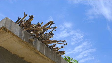 乡村麻雀电线葡萄架子水库湖面水面燕子窝