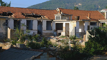 拆迁美丽<strong>乡村</strong>破房子向日葵围墙蜜蜂采蜜