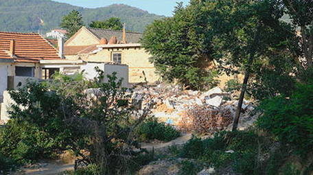 拆迁美丽<strong>乡村</strong>破房子向日葵围墙蜜蜂采蜜