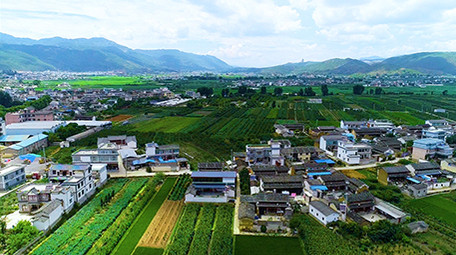 航拍农村绿色田地