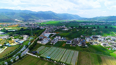 航拍农村绿色田地