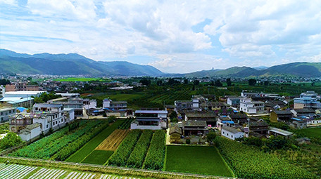 航拍农村绿色田地