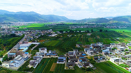 航拍农村绿色田地