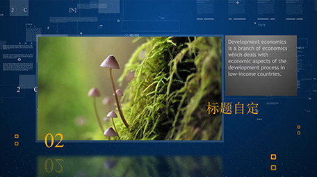 蓝色商务幻灯片样式照片模板