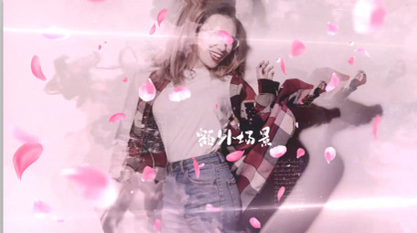 浪漫水墨转场樱花花瓣爱情图文展示AE模板