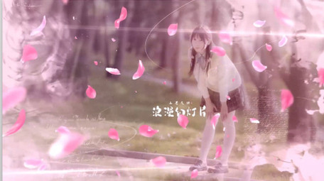 浪漫水墨转场樱花花瓣爱情图文展示AE模板