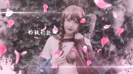 浪漫水墨转场樱花花瓣爱情图文展示AE模板