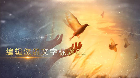 党政党建大气图文模板