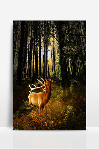 梦幻深山森林麋鹿背景图片