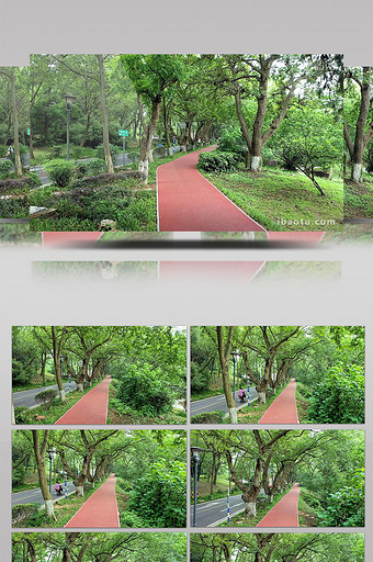 航拍南京中山陵风景区人行步道绿树成荫图片