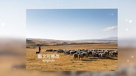 商务企业风格照片展示