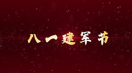 八一图文党政PR模板