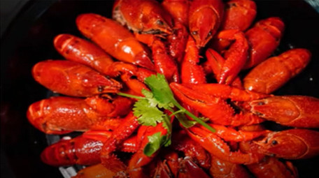 诱惑美食<strong>图文快闪</strong>展示会声会影模板