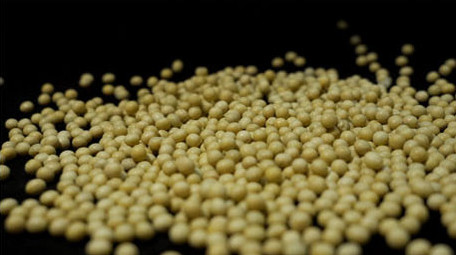 黄豆大豆高清实拍视频素材