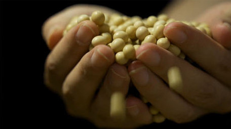 黄豆大豆高清实拍视频素材