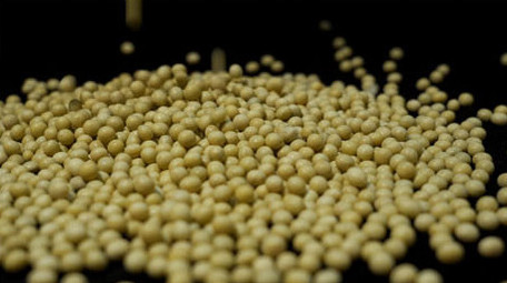 黄豆大豆高清实拍视频素材