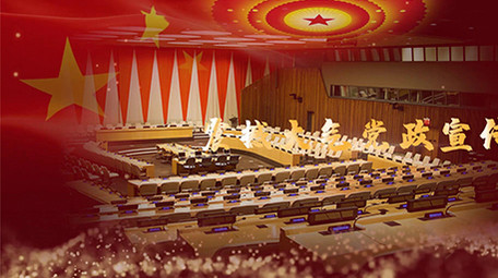 大气高端党政图文宣传PR模板