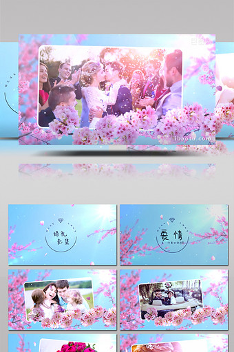 鲜花摇曳花卉枝叶生长浪漫婚礼相册AE模板图片