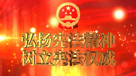 震撼大金字E3D宪法党政图文宣传AE模板