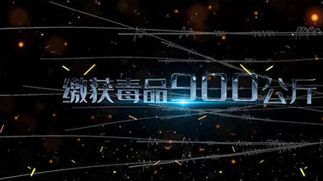 法律严绳蓝光闪电扫黑除恶宣传片头