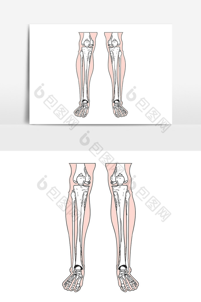 黑白线条人体骨骼骨架腿骨AI图片图片