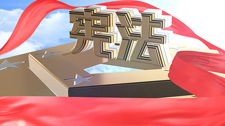 E3D大金字党政宪法AE图文模板