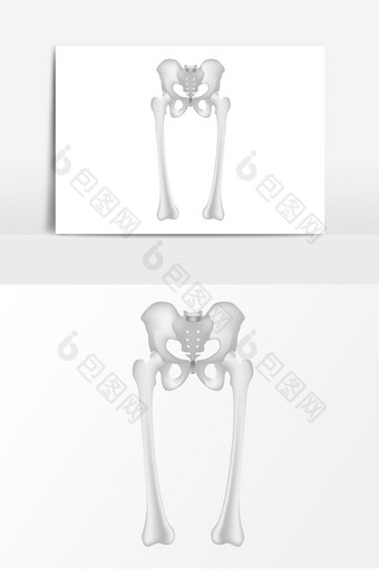 盆骨骨骼矢量元素图片