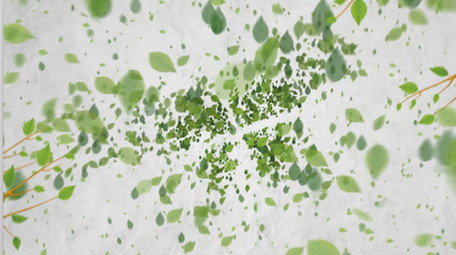 清新绿叶汇聚成logo动画片头AE模板