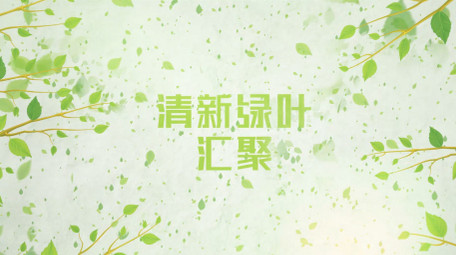 清新绿叶汇聚成logo动画片头AE模板