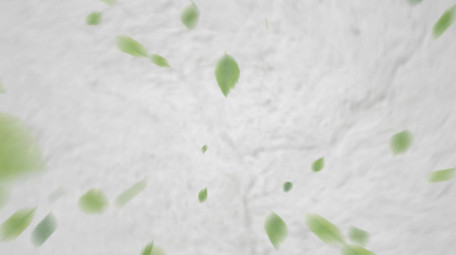 清新绿叶汇聚成logo动画片头AE模板