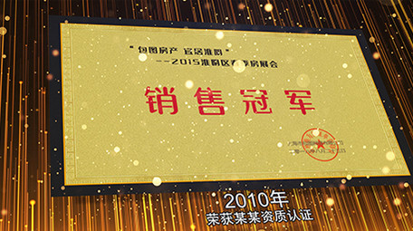 企业荣誉奖项证书图文展示模板