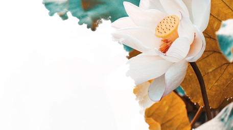 简约中国风水墨版梦想<strong>图文</strong>Pr模板片头片尾