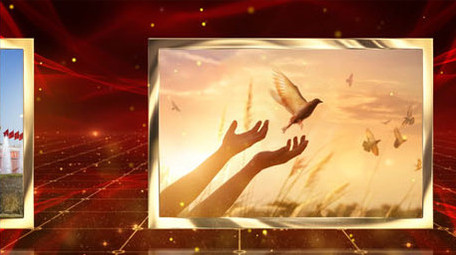 红色党政党建图文AE模板