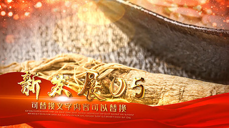 金色党政大气图文片头