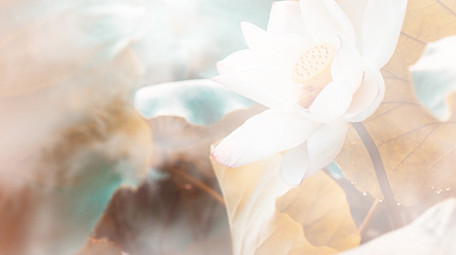 大气水墨印象中国<strong>图文</strong>PR模板宣传片头