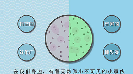 疾病防护MG动画